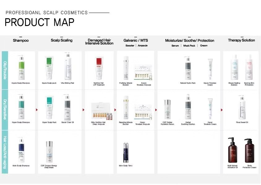 Wellkin professional scalp cosmetics product map — shampoo, scalp scaling, intensive solutions, galvanic/MTS, moisturize and therapy lines across oily, dry/sensitive and hair-loss scalp types